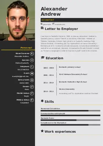 Accountant resume example